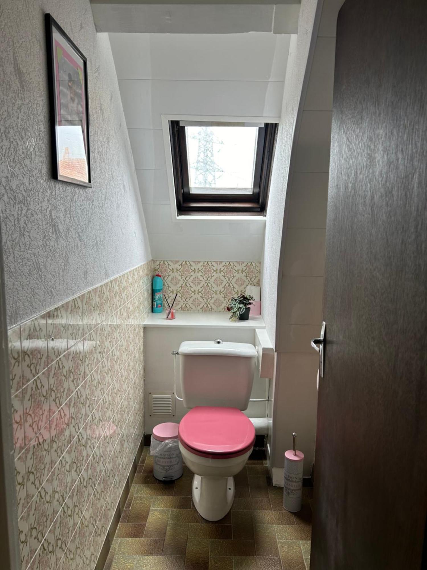 Gite La Maison Rose Lannemezan Buitenkant foto